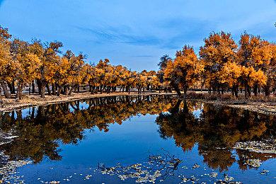 新版《古墓丽影》游戏劳拉形象曝光 经典性感